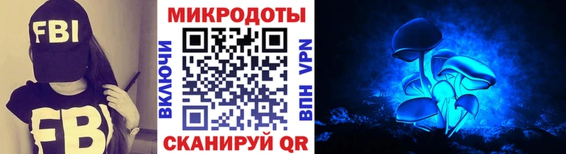Галлюциногенные грибы мицелий Власиха